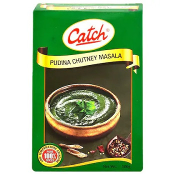 Catch Pudina Chutney Masala 100 g