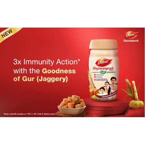 Dabur Chyawnprash Goodness Of Gur 540g