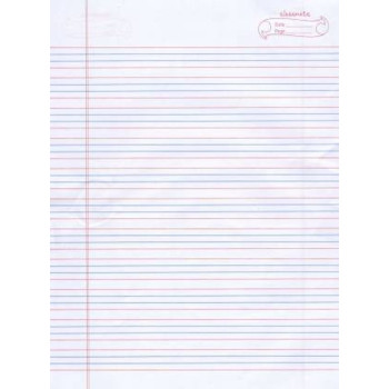 Four Line Notebook 