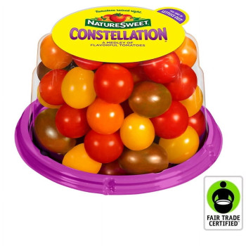 Fresh Bite Tomato Sauce 500g