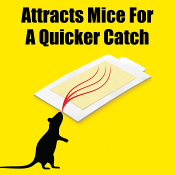  Hit Rat Glue Pad 