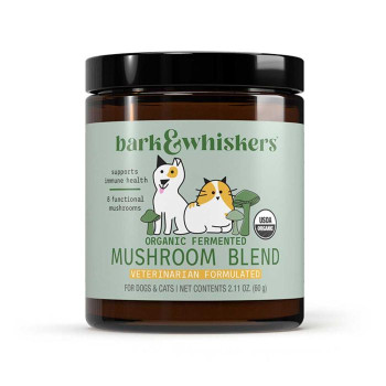 Kitty Cheer Cake Fruit Fusion 60g