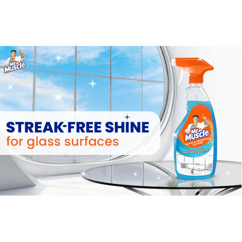 Mr. Muscle Glass Cleaner 500ml