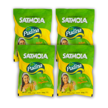 Satmola Pudina 