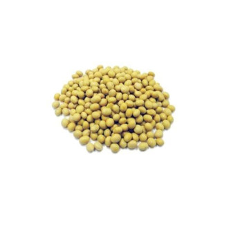 SOYA BEEN 500G