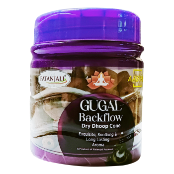 Aastha Backflow Dhoop Cone Vrindavan 160g