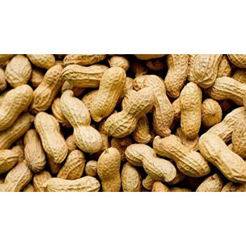 Peanut High Protein  500g