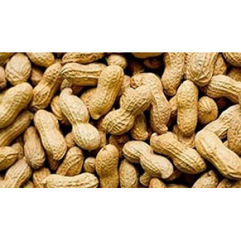 Moongphali 250g
