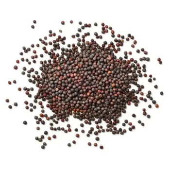 kali sarso 50g