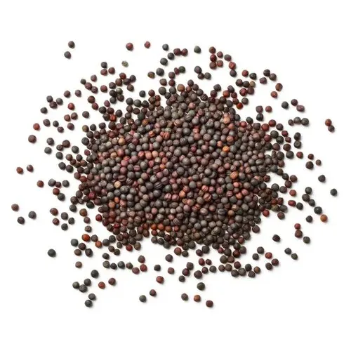 kali sarso 50g