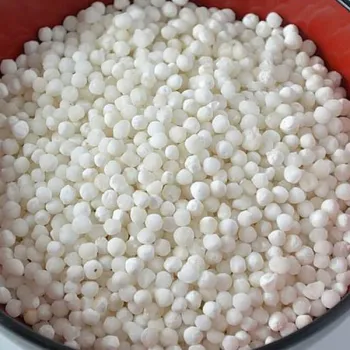 Sabut Dhania 100g