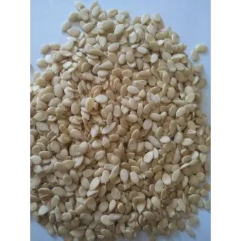 cucumber seeds 100g