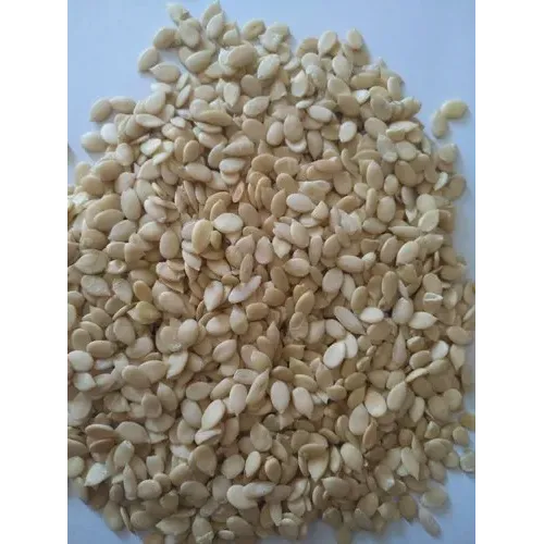 cucumber seeds 100g