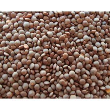Masur Dal Brown 500g