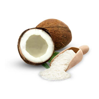 Coconut Powder 250g